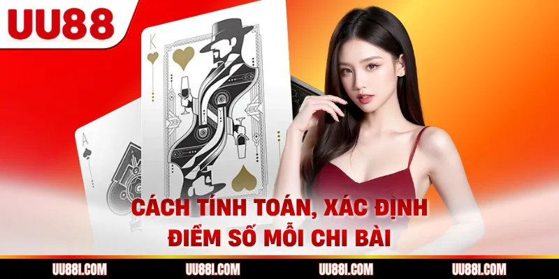 Cách tính toán, xác định điểm số mỗi chi bài