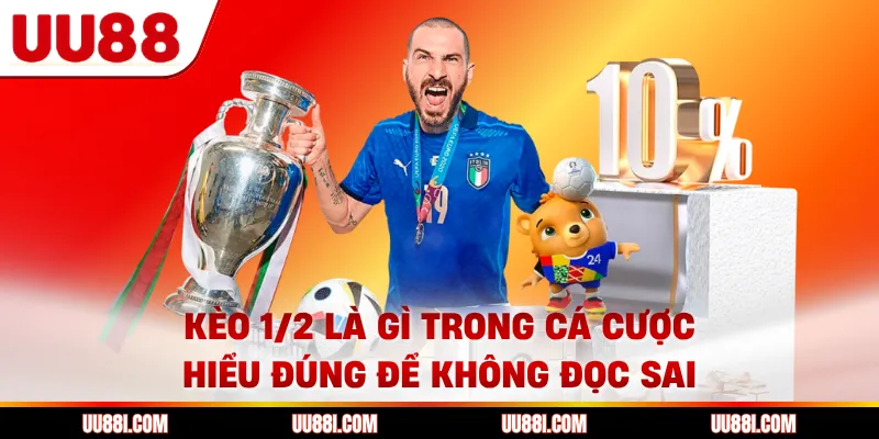 Kèo 1/2 Là Gì Trong Cá Cược - Hiểu Đúng Để Không Đọc Sai