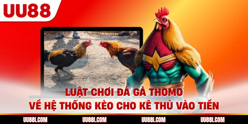 Luật chơi đá gà Thomo về hệ thống kèo cho kê thủ vào tiền