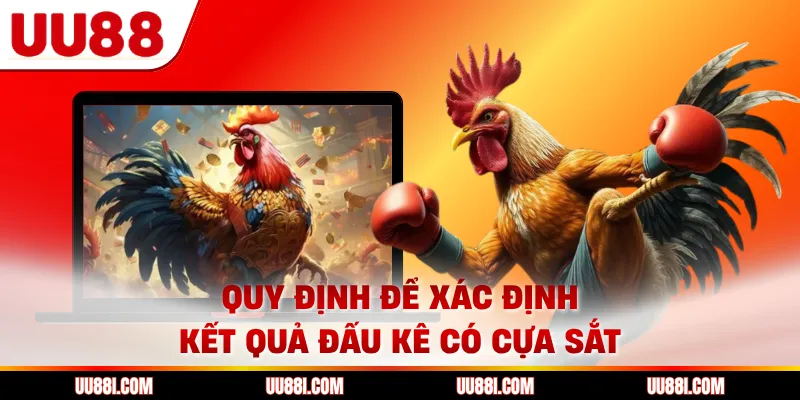 Quy định để xác định kết quả đấu kê có cựa sắt