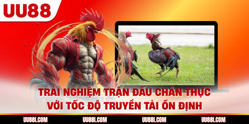 Trải nghiệm trận đấu chân thực với tốc độ truyền tải ổn định